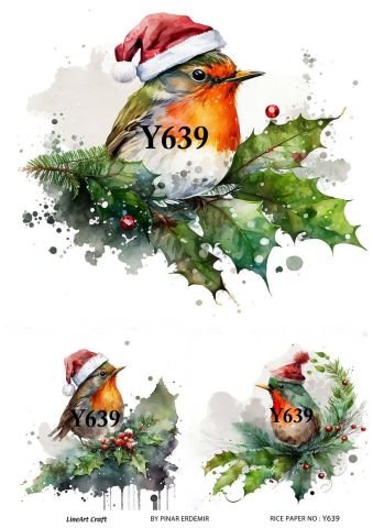 Y 639
