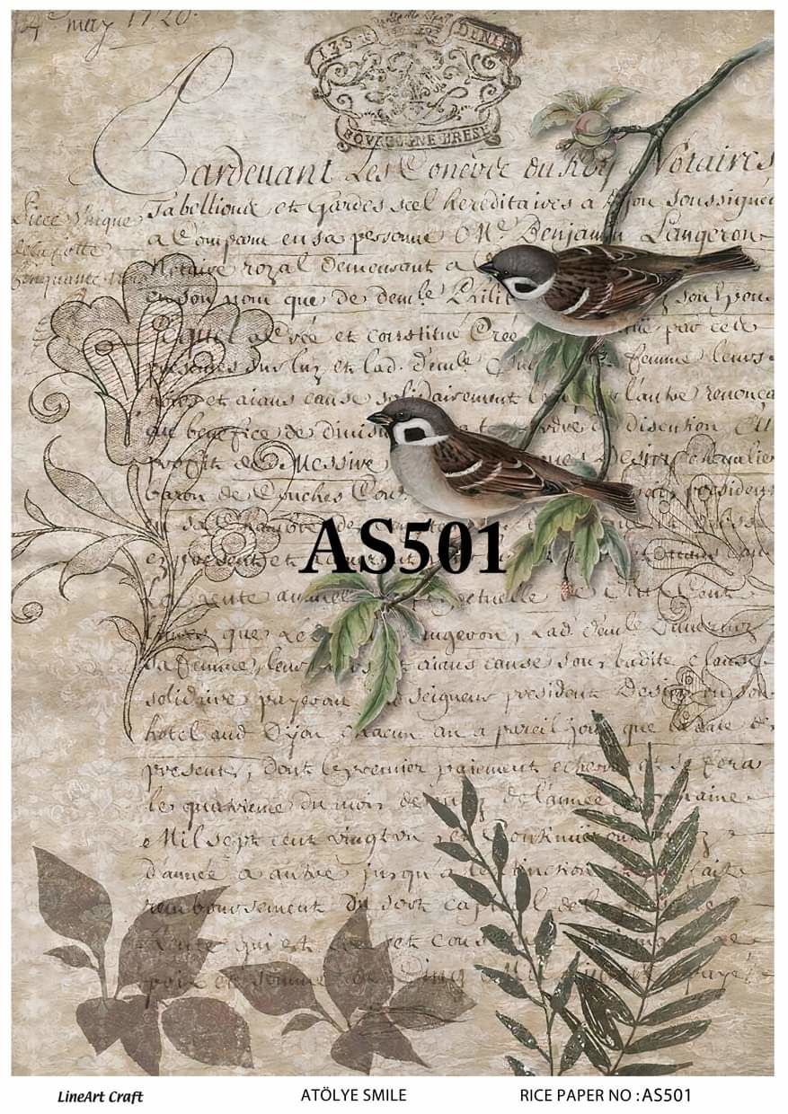 AS 501