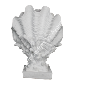 MERCAN ÜZERİNDE KAPALI DENİZ KABUĞU 30X22 CM