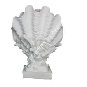 MERCAN ÜZERİNDE KAPALI DENİZ KABUĞU 30X22 CM