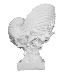 MERCAN ÜZERİNDE DENİZ KABUĞU 26X20 CM