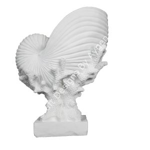 MERCAN ÜZERİNDE DENİZ KABUĞU 26X20 CM