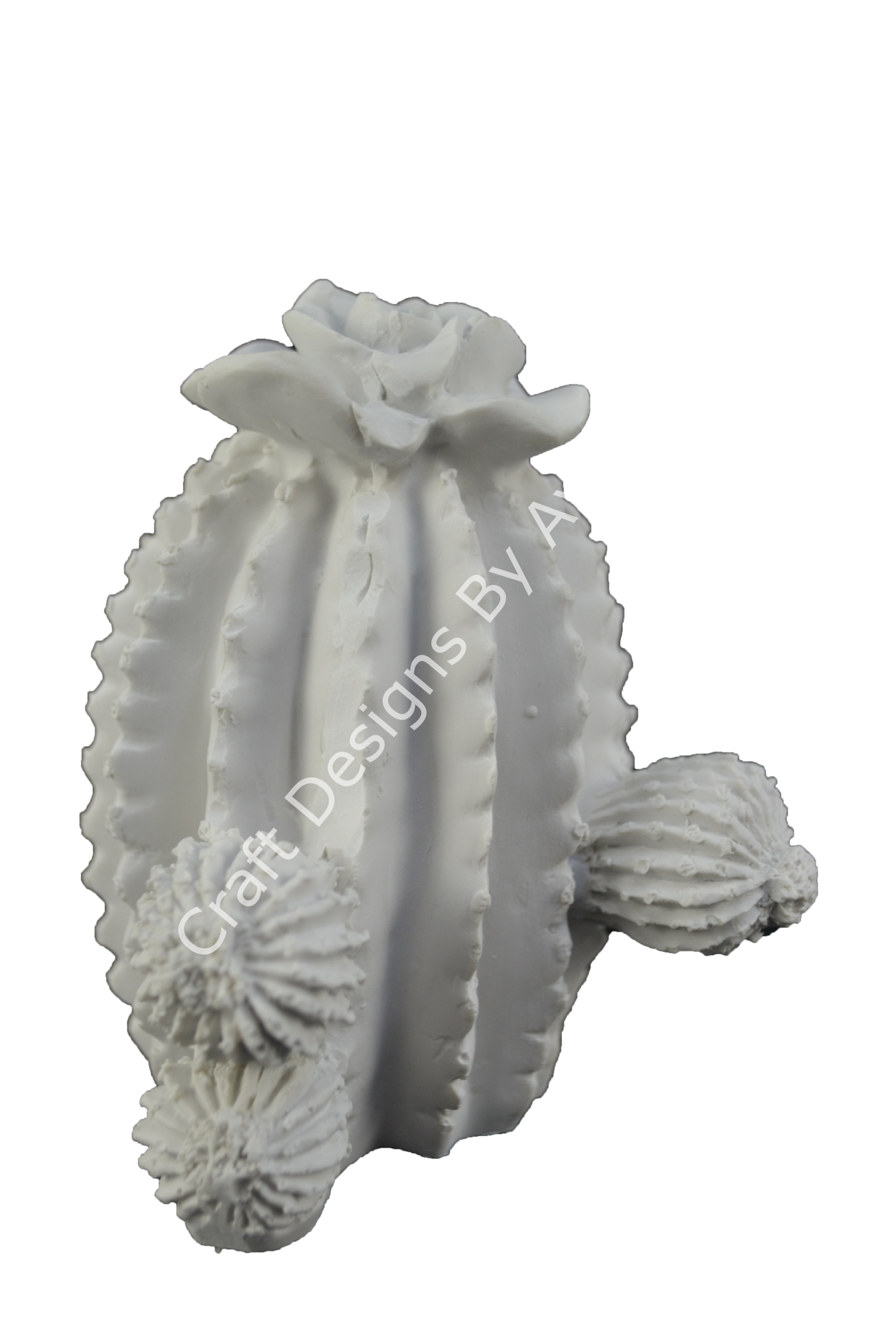 TOMBUL KAKTÜS 12X9 CM