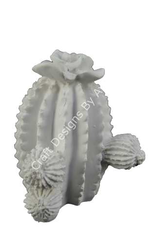 TOMBUL KAKTÜS 12X9 CM