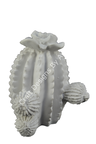 TOMBUL KAKTÜS 12X9 CM