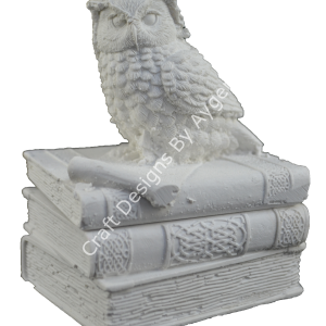 KÜÇÜK KİTAP ÜSTÜ BAYKUŞ 12X9 CM