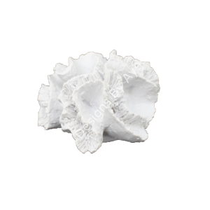 TOPARLAK KÜÇÜK MERCAN 10X7 CM