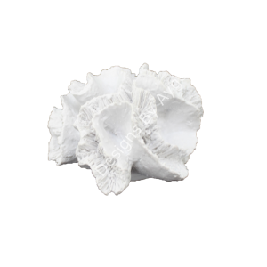 TOPARLAK KÜÇÜK MERCAN 10X7 CM