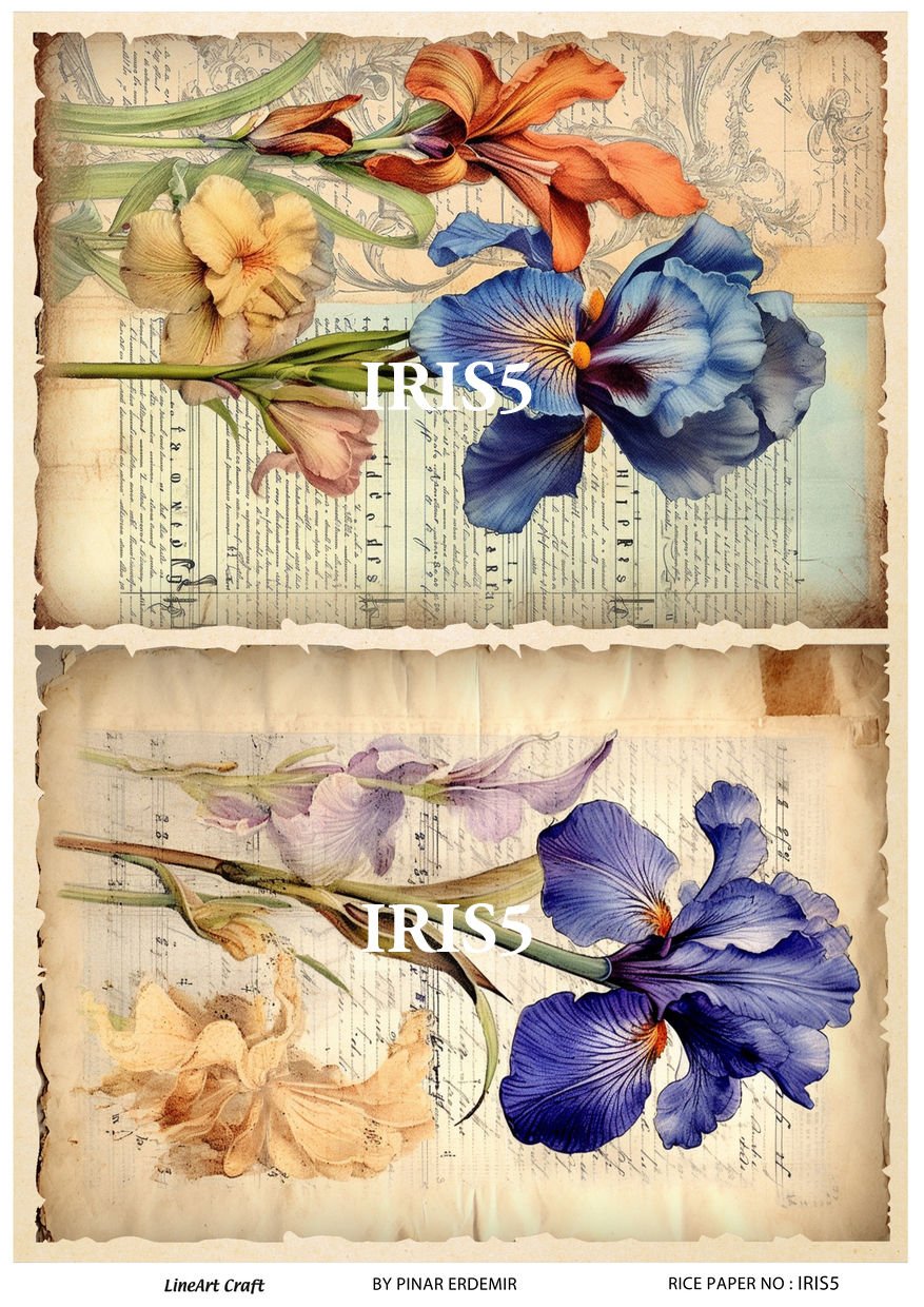 IRIS  5
