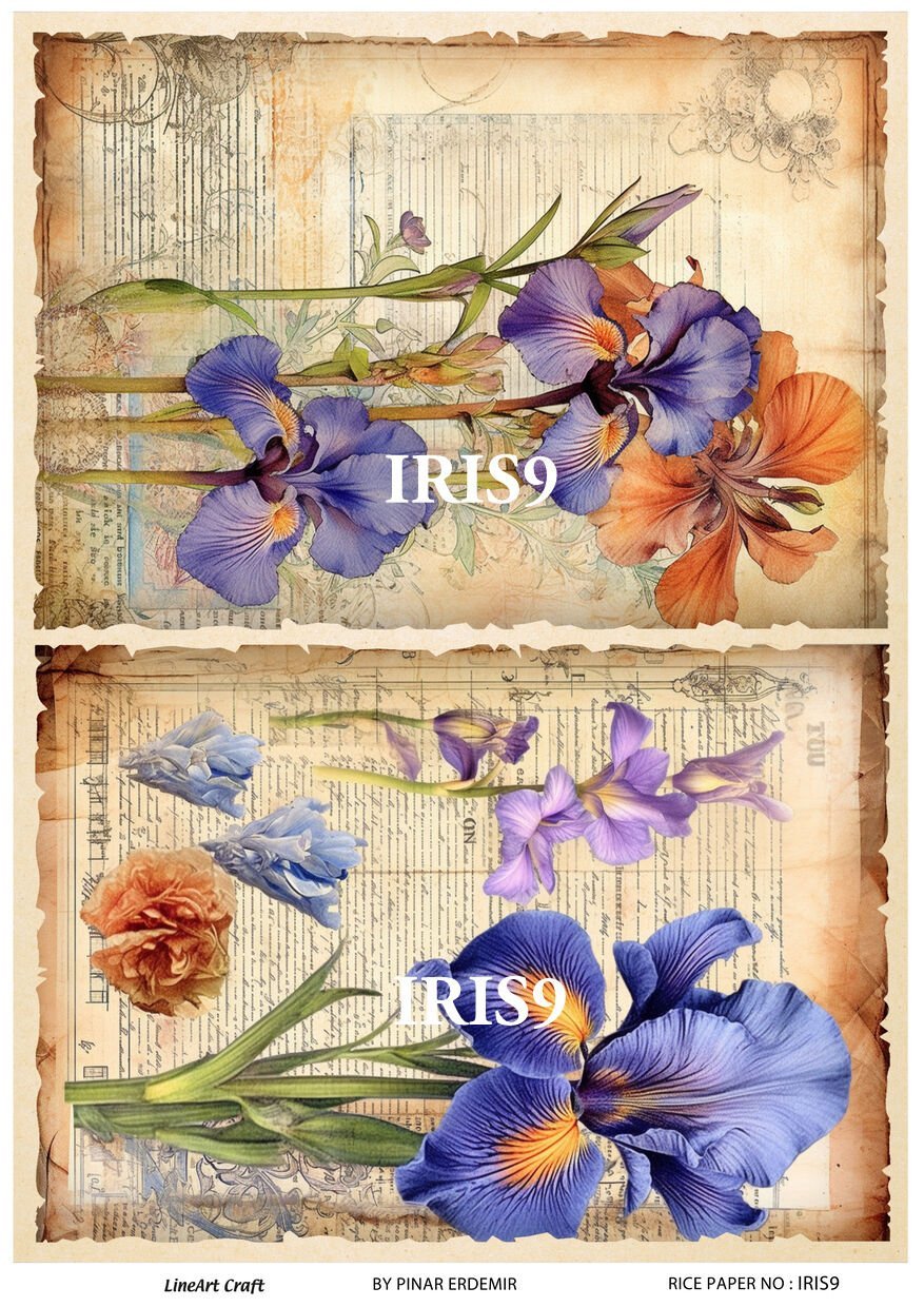 IRIS  9
