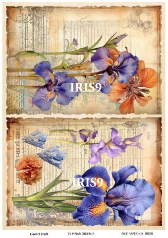 IRIS  9