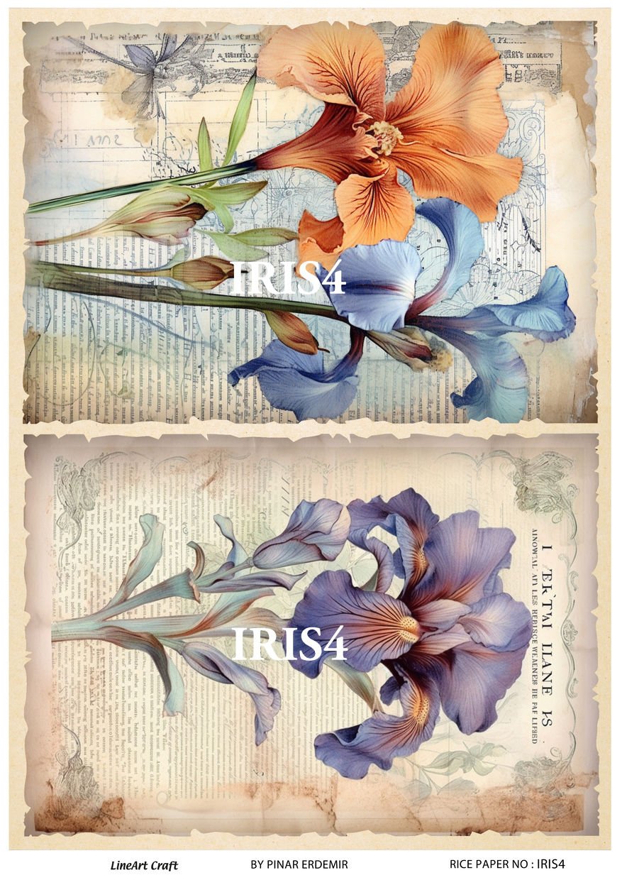 PİRİNÇ DEKOPAJ IRIS 4