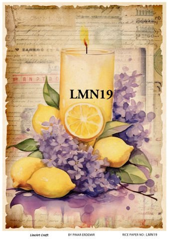 LMN 19