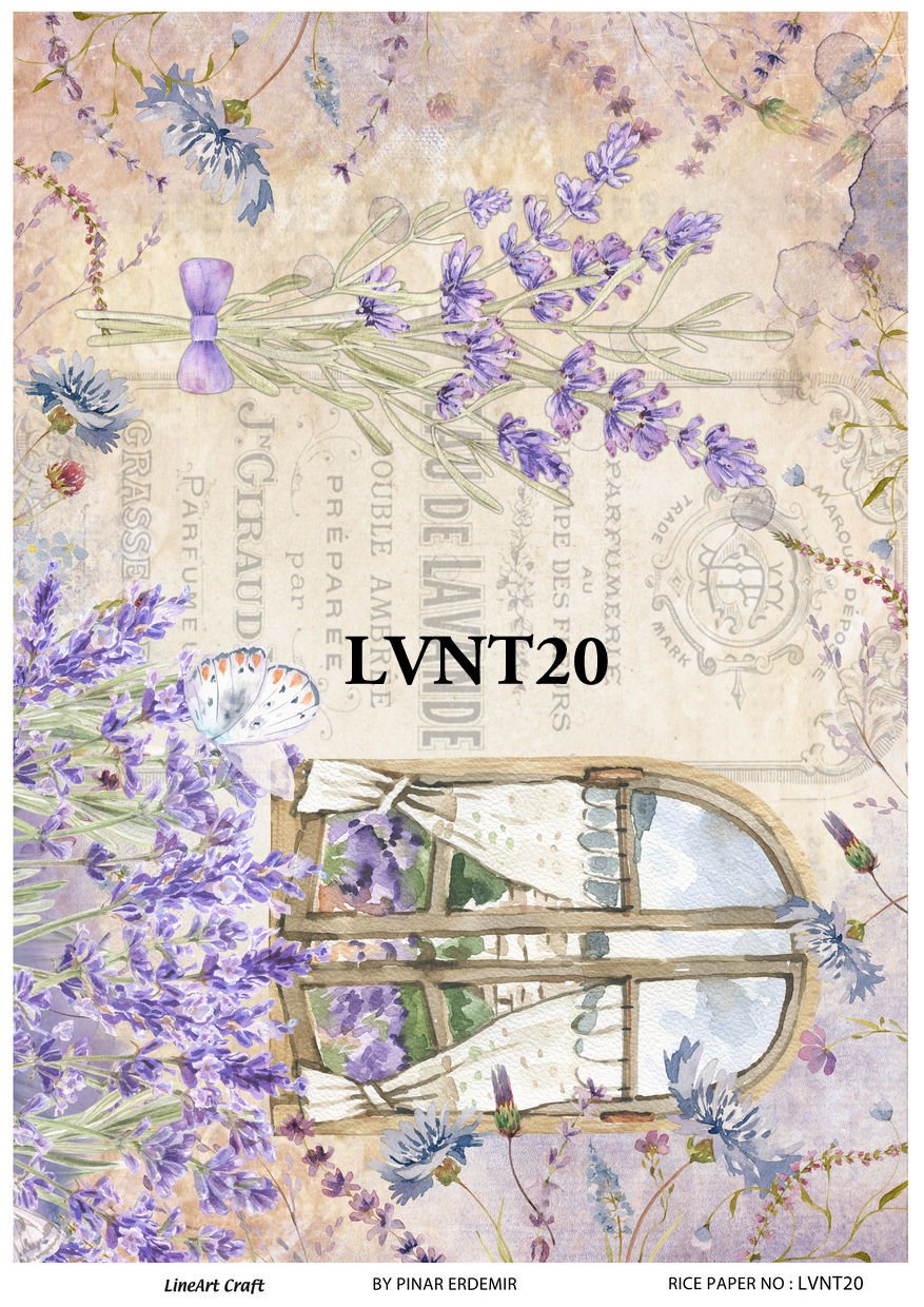 LVNT 20