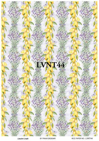 LVNT 44