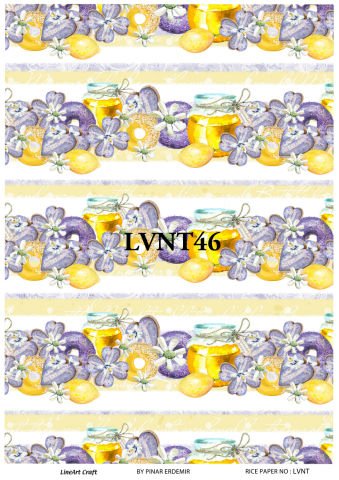 LVNT 46