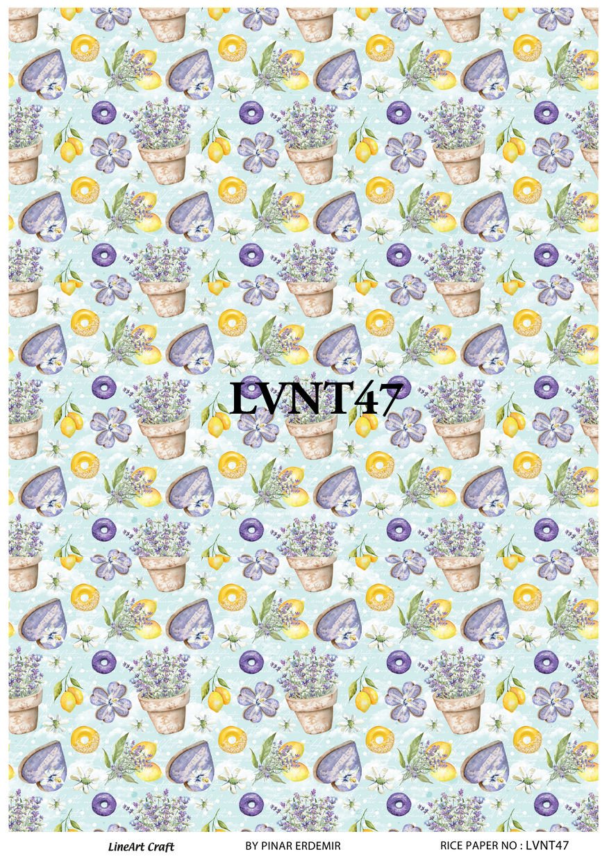 LVNT 47