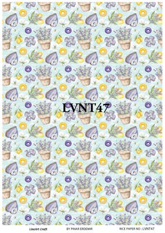 LVNT 47