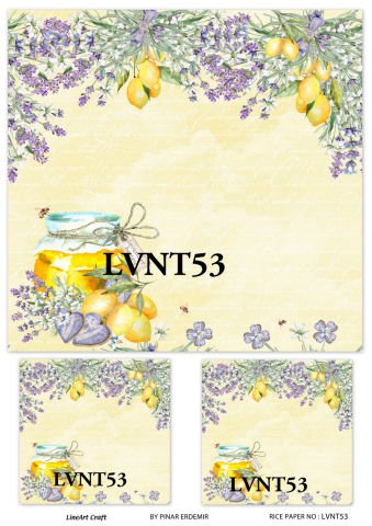 LVNT 53