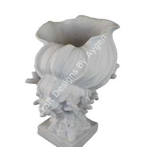 DENİZ KABUĞU MERCAN