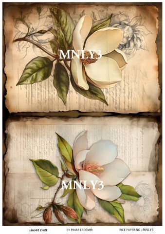 MNLY 3