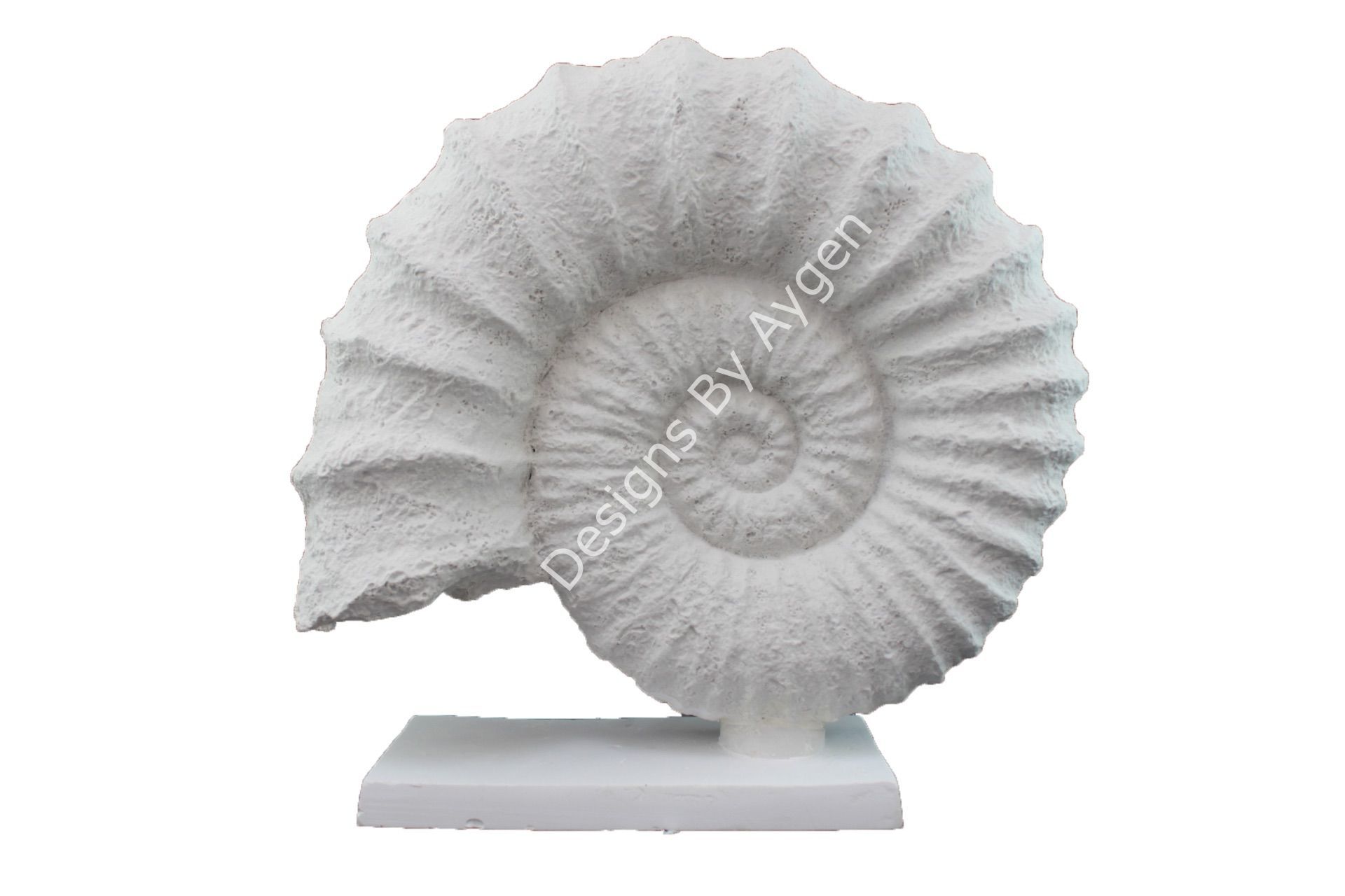 KAİDELİ DENİZ KABUĞU 30X32 CM