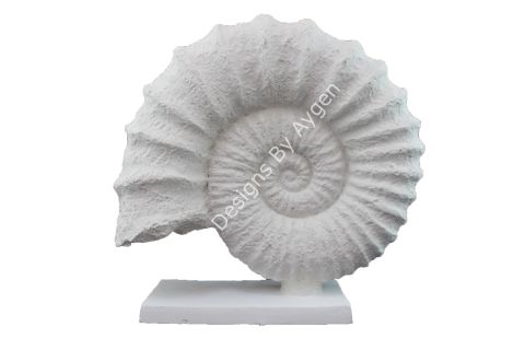 KAİDELİ DENİZ KABUĞU 30X32 CM