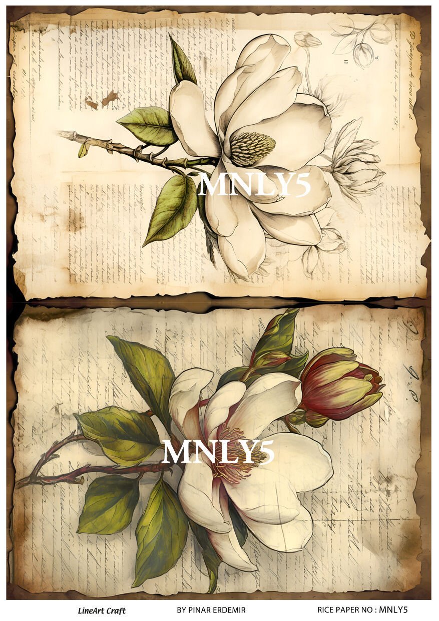 MNLY 5