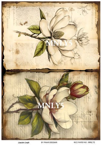 MNLY 5