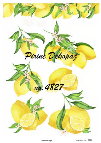 4827