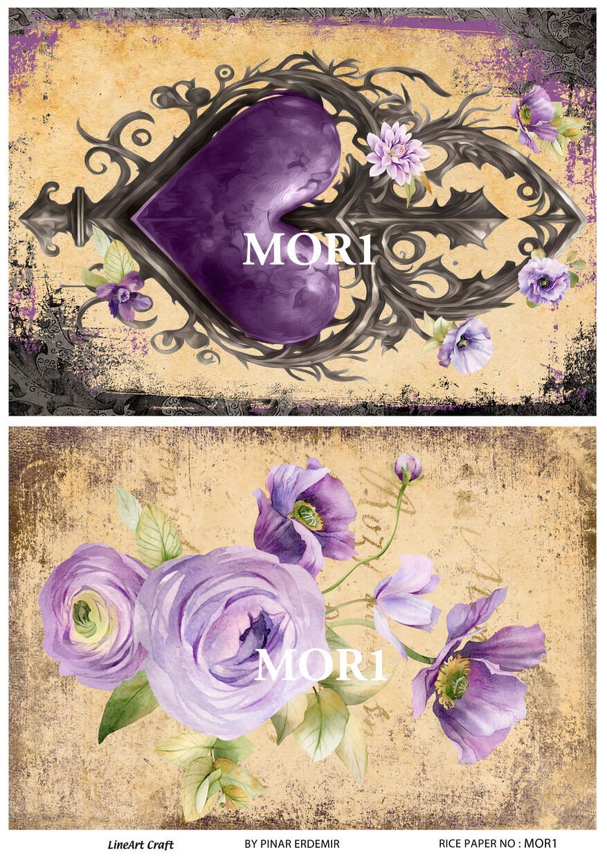 MOR 1