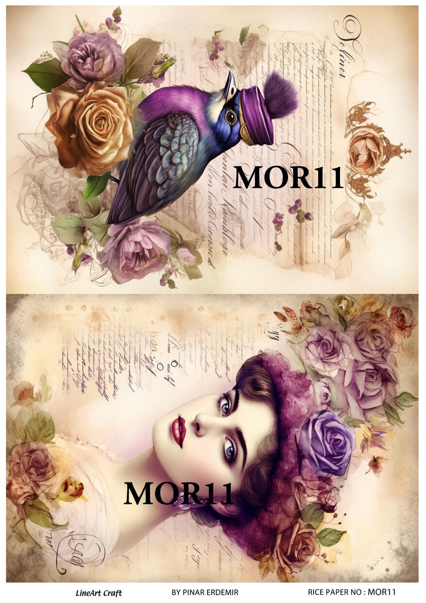 MOR 11