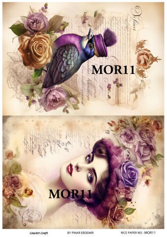 MOR 11