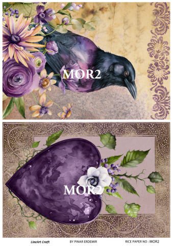 MOR 2