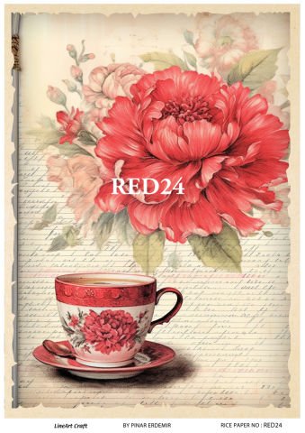 RED 24