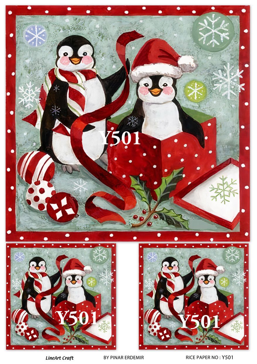 Y 501