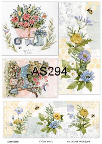 AS 294