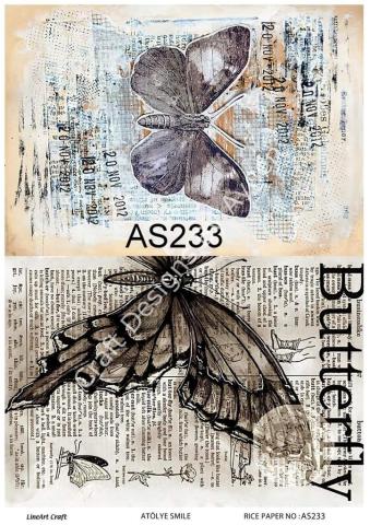AS 233