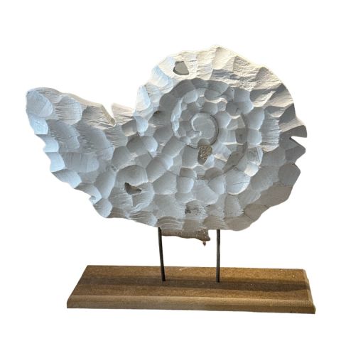 SALYANGOZ YATAY 37X34 CM