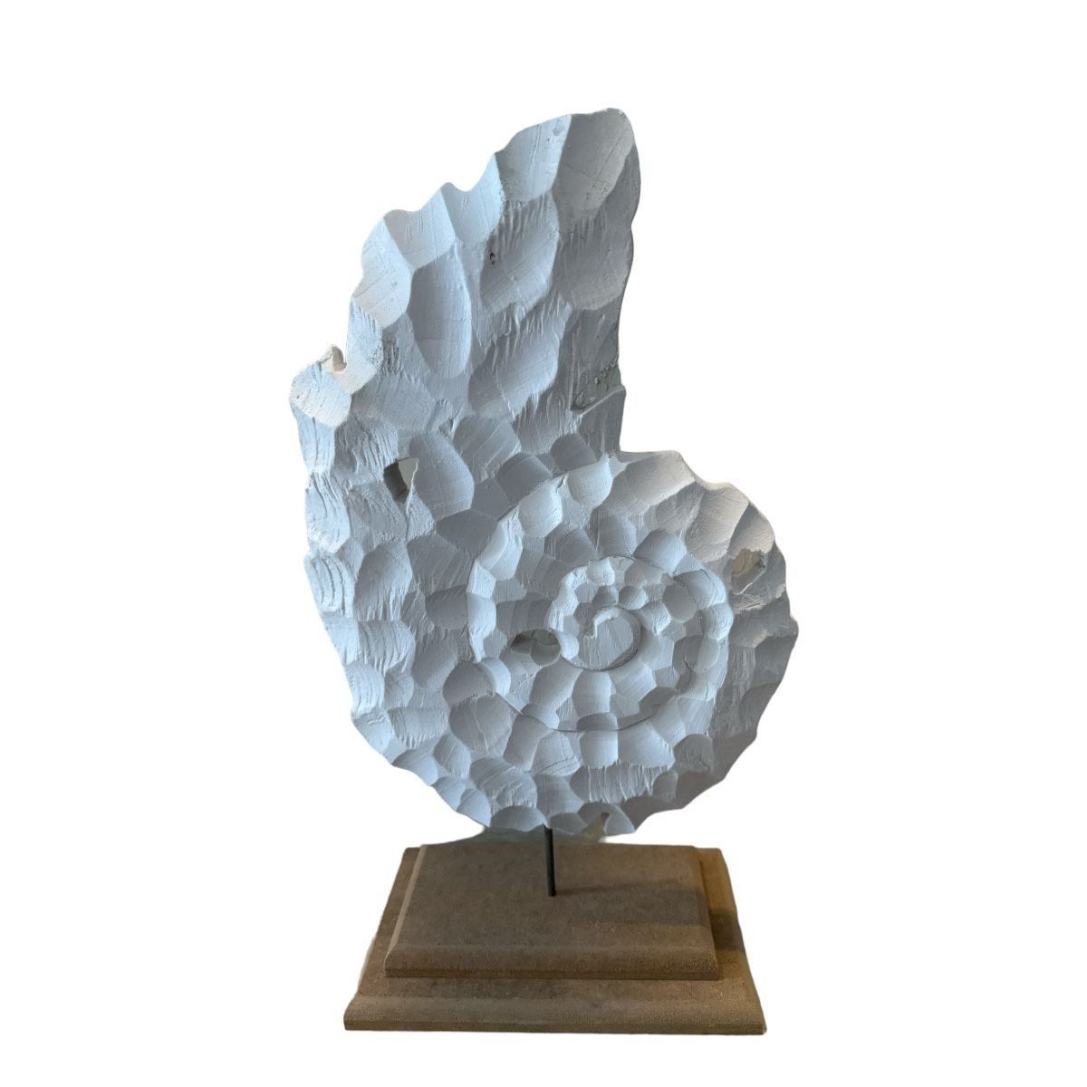 SALYANGOZ DİKEY 49X22 CM