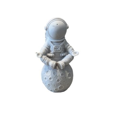 KÜÇÜK ASTRONOT AYDA