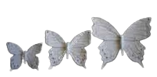 KELEBEK