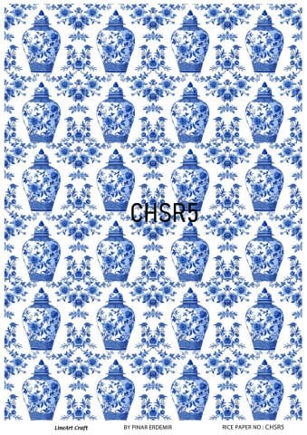 CHSR 05