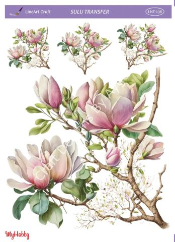 Lineart SULU TRANSFER LNT138