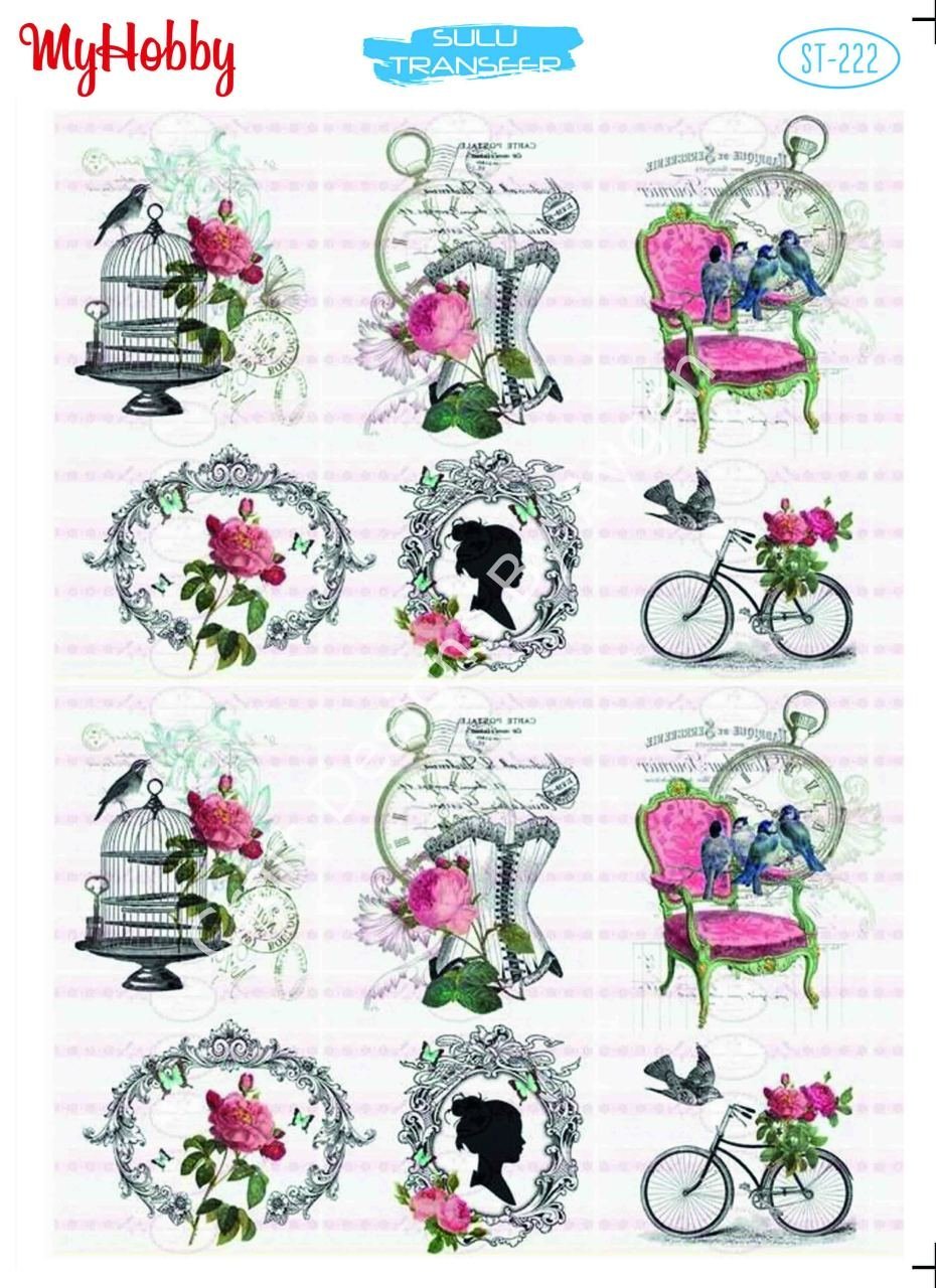 My Hobby SULU TRANSFER 222