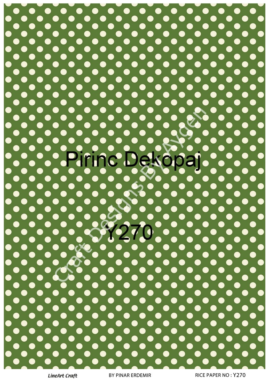 Y 270