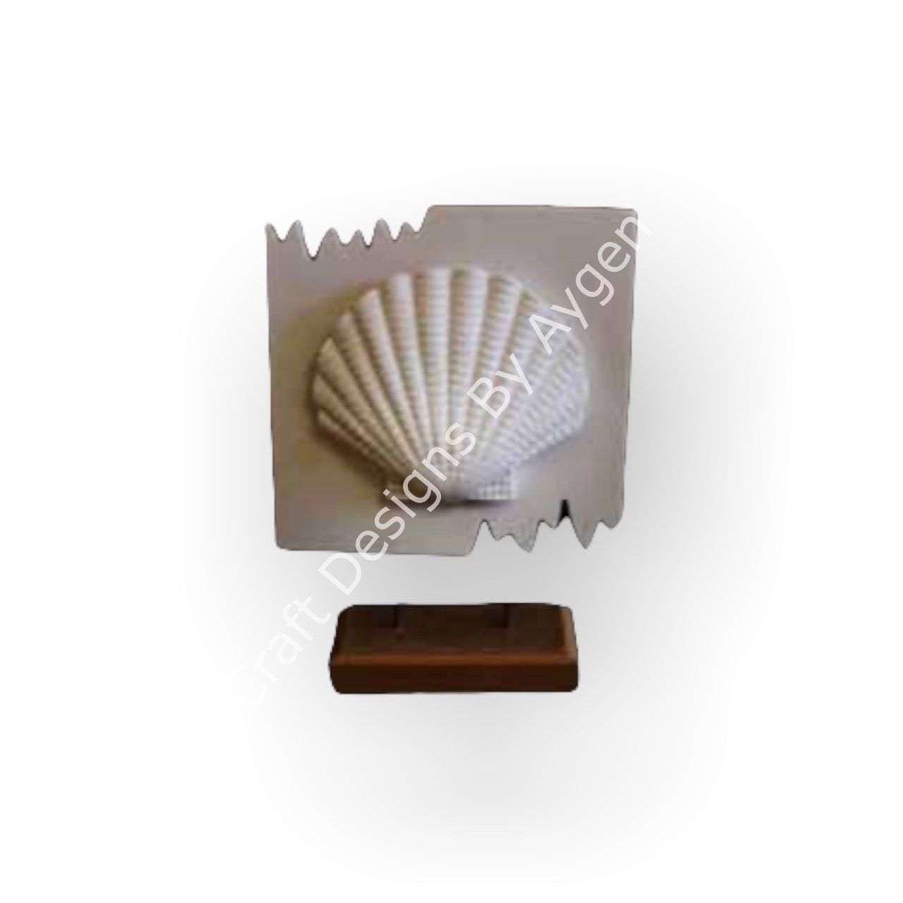 KAİDELİ DENİZ KABUĞU 20X10 CM