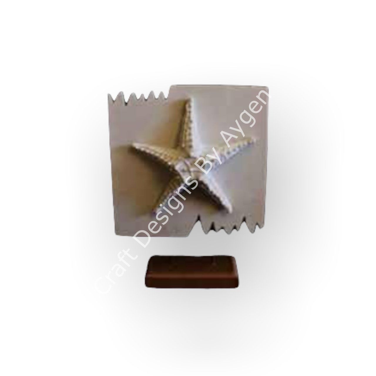 KAİDELİ DENİZ YILDIZI 22X10 CM