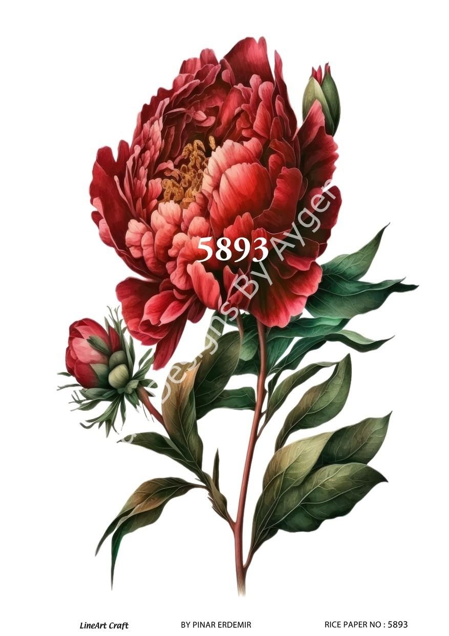 5893