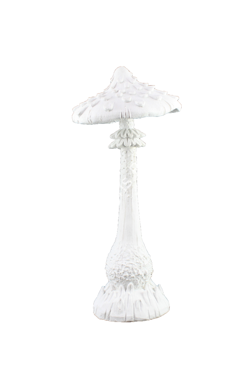 MANTAR 2 55X19 CM